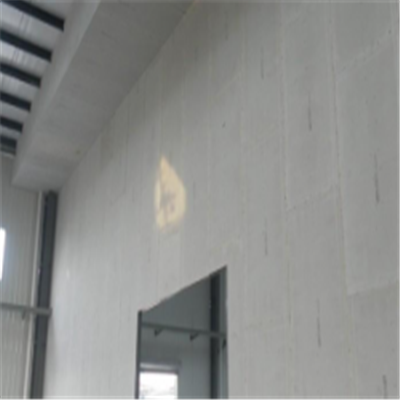鼎湖宁波ALC板|EPS加气板隔墙与混凝土整浇联接的实验研讨